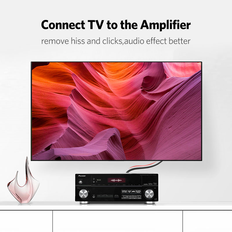 UGREEN 2RCA إلى 2 RCA الذكور إ - مراجعة Home Cinema Unit وسعره